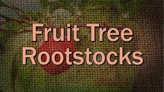 Fruit Tree Rootstock Basics – Family Plot