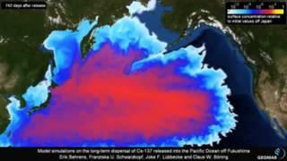 Fukushima Model simulations on the long-term dispersal of 137Cs released into the Pacific Ocean