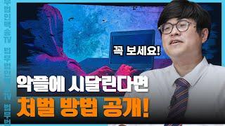 악성 댓글 형사상 대응방법|법무법인 백송 김성현변호사 #검사출신변호사 #서초동법무법인