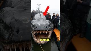 TOP 5 DEADLIEST SEA CREATURE LIVING IN THE DEEP SEA! 