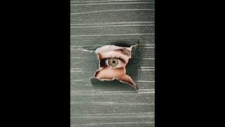 TalkBite UFO Files: Essential Clips on Alien Theories