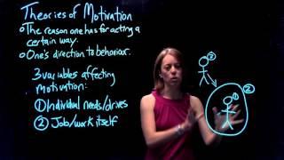 Theories of Motivation | Part 1 of 4: What Motivates Us?