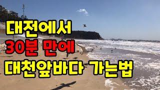 대전에서 30분만에 대천 앞바다 가는 법 / 임영웅도 달리고 싶다?? /  Korean version of Autobahn / Korea's top beach