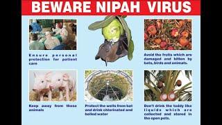 Nipah virus outbreak 2021: Kerala state, India