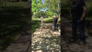 Minigolf Trickshots 7 Schweinfurt Hubert Bayer  Tom Biehl