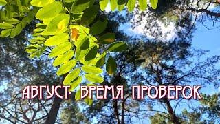 АВГУСТ- ВРЕМЯ ПРОВЕРОК #КвантовыйПереход #ФильтрацияДуш #ЭволюцияДуш