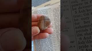 #rapture EnochWalkedRight&AcceptablyBeforeTheLord:ThereforeWas He Translated AsAnExampleof Amendment