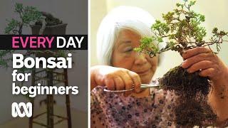 Bonsai for beginners | Everyday Gardening | ABC Australia