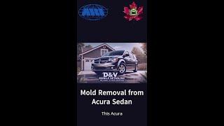 Deep Cleaning a Moldy Acura Interior | Satisfying Detail