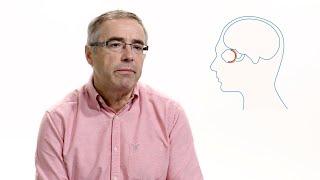 Dr. Gregory-Evans Discusses Retinal Diseases & AAGP™ | ProtoKinetix