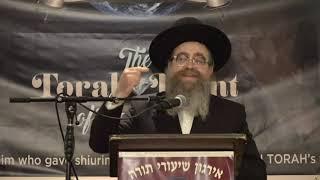 Rabbi Elozer Bald Irgun Shiurai Torah Dinner 5779