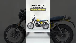 New Royal Enfield interceptor bear 650 Colour options #royalenfield