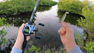 Snook & Tarpon Fishing In HIDDEN Mangrove Canals