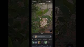 Guess the Fruit Trees | google Lens vs Human | Tell your experience | #snapseed #screenberry