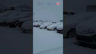 A day of the Mechanic in Canada , automotive technician , #mechanic, # 정비사, #정비사의하루, #인생은도전, #캐나다,