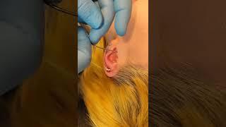 #TragusPiercing by Jabba @get-piercedltd Carlisle, Cumbria  #earpiercing #piercing