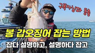 갑오징어 낚시, 잘 잡는 방법. 봄갑이 잘 빠지는 이유? 무게감? 끝보기? _양파호 : 밍스타tv