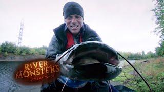 Catching A Mutant Som In Radioactive Chernobyl Waters | SOM | River Monsters