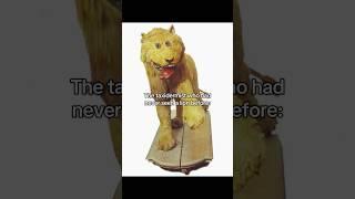 The lion of Gripsholm castle! #history #art