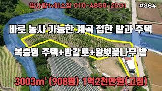 (364)영덕땅 귀농지 창고 주택과 방갈로 왕벚꽃나무 500주 개두릅 70주 계곡 접한 밭과 주택