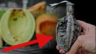 Aluminum Vs  Melons = Hand Grenade?!