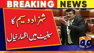 Shahzad Waseem's speech in the "Senate Ijlas" | Geo News