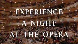 Experience a Night at the Opera