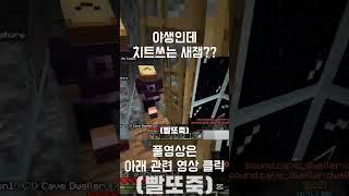 야생인데 치트를써?? 나락 나락! #게임방송 #minecraft #마인크래프트 #minecraftmemes #공포모드 #게임 #마크 #병맛