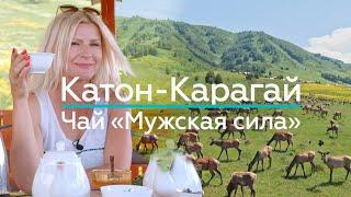 Секреты Катон-Карагайской МУЖСКОЙ СИЛЫ!  / "А как там у них?" c Еленой Кукеле