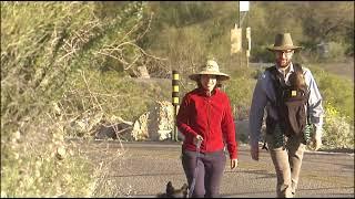 Discovering Hidden Gems: Exploring Southern Arizona's Stunning Landscapes
