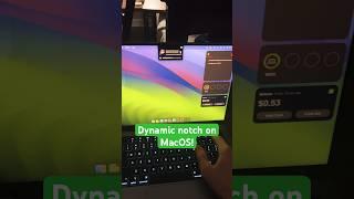 Dynamic notch for Mac!