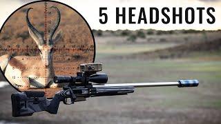 Springbuck Season Opener: Epic Headshot Harvest!