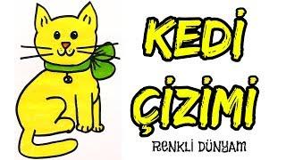 Kedi Nasıl Çizilir ? Kedi Çizimi (How to draw a cat) Renkli Dünyam