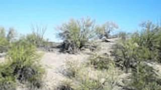 Homes for Sale - Lot #16 N Gianna Drive Wickenburg AZ 85390 - Nora Qorri