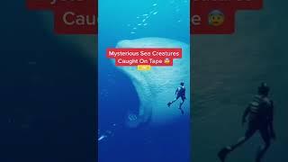 Mysterious Creatures Caught On Tape