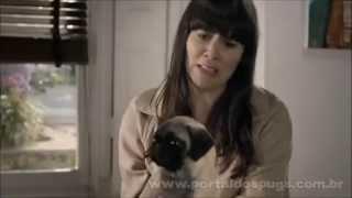 Currys PC World - Comercial de TV - Propaganda com Pug