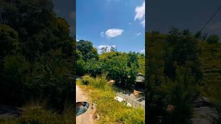 "Stepping out to explore the enchanting beauty of Ella!  #SriLanka #NatureLovers #Wanderlust