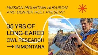 35 YRS OF LONG-EARED OWL RESEARCH IN MONTANA - by Denver Holt at Mission Mountain Audubon Society