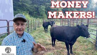 Turning COWS Into CASH!