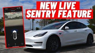 Tesla Live Sentry Mode Camera Update | 2021 Tesla Model 3 & Y