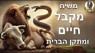 משיח מקבל חיים ומתקן הברית - חיזוק עצום לתקופתינו