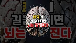 쾌락에 길들여지면 뇌는 망가진다 #정신건강