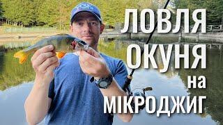 Рибалка на окуня літом. Ловля окуня на мікроджиг