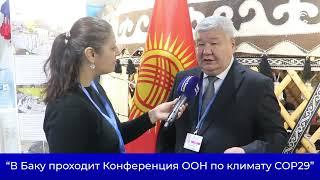 “В Баку проходит Конференция ООН по климату COP29”