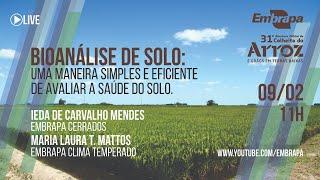 Bioanálise de solo: Uma maneira simples e eficiente de avaliar a saúde do solo