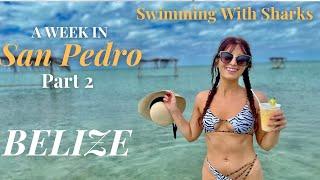 SNORKELING In Belize! Boating San Pedro! (2023) // A Travel Vlog Part 2