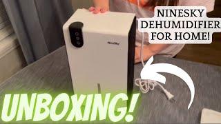 NineSky Dehumidifier Review: The Best Home Dehumidifier for Humidity Control