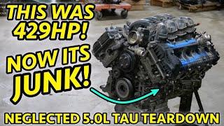 NEGLECTED HYUNDAI MUSCLE!? EQUUS 5.0L TAU V8 Destroyed by Extended Oil Change Intervals #changeoil