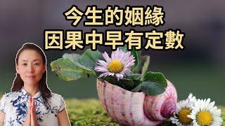 今生的姻緣，因果中早有定數，看後恍然大悟！How to Understand and Fix Bad Marriages (中英文字幕）