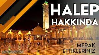 HALEP HAKKINDA MERAK ETTİKLERİNİZ / Talha Uğurluel